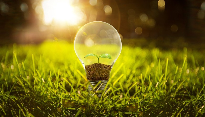 1630565730353740.jpg 1-210P515451R61.jpg